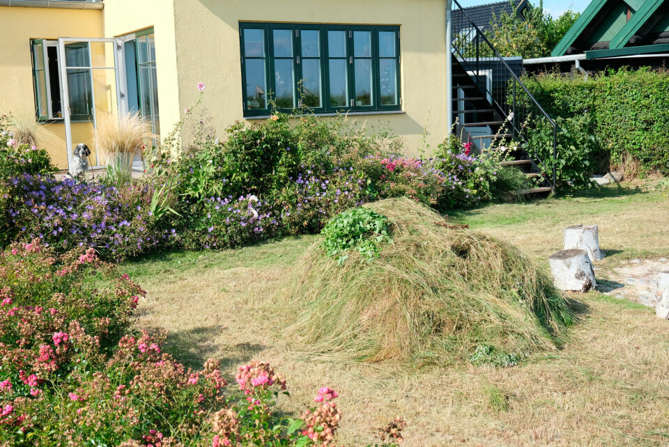 Lene Beier vildere have bog