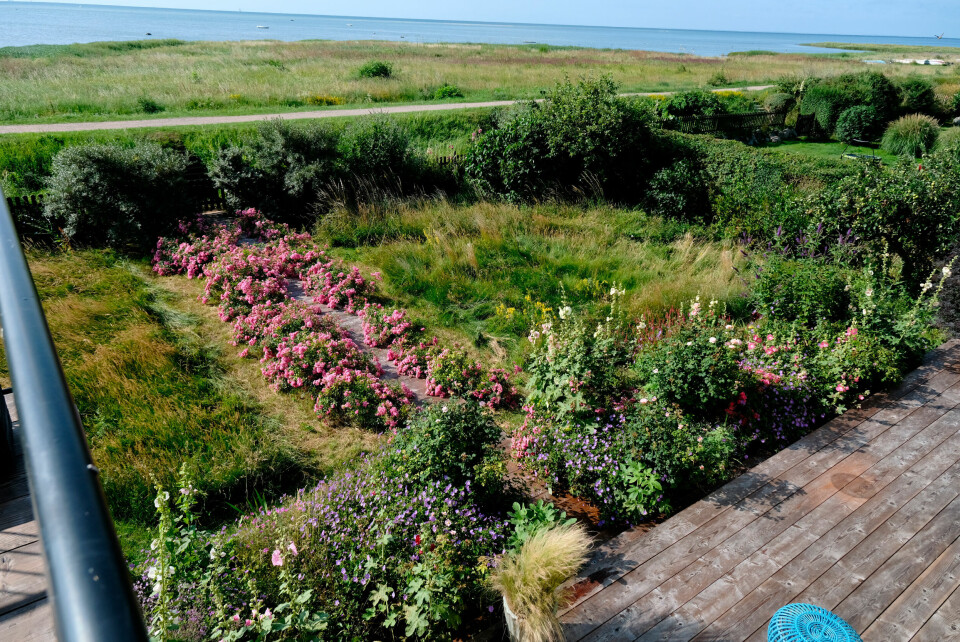 Lene Beier vildere have bog