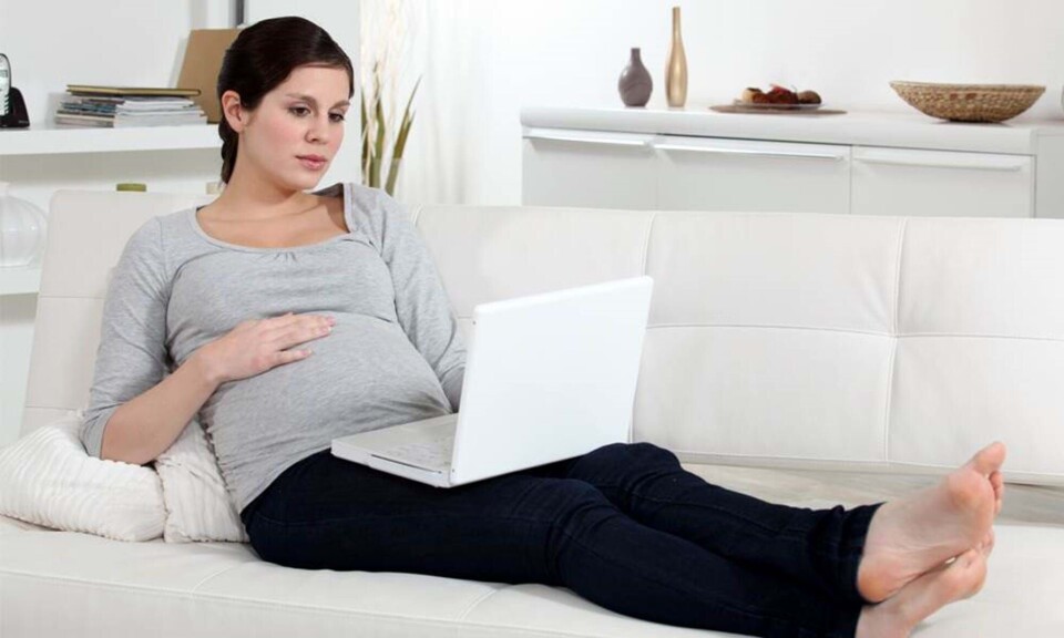 Gravid