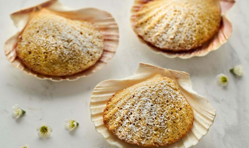 madeleinekager med mango