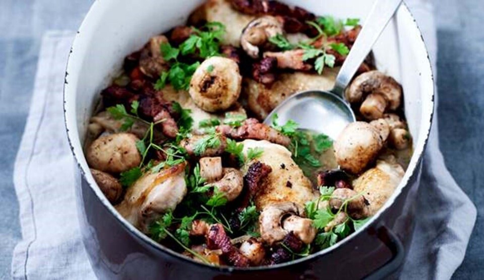 Opskrift på kylling i riesling med bacon og svampe