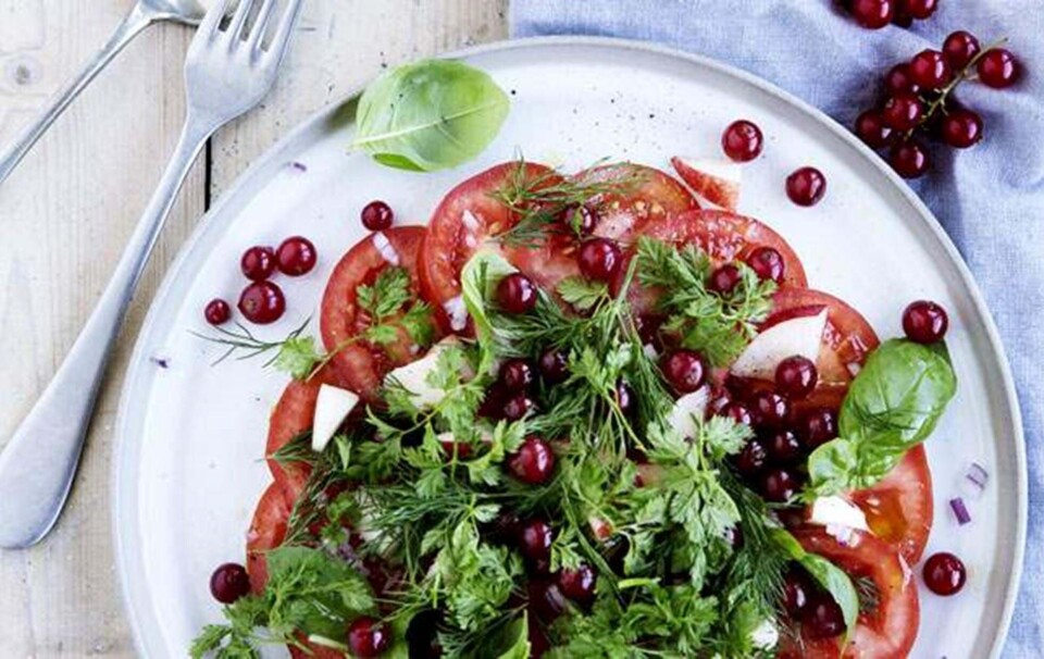 Tomatsalat med ribs, nektarin og kryddeurter