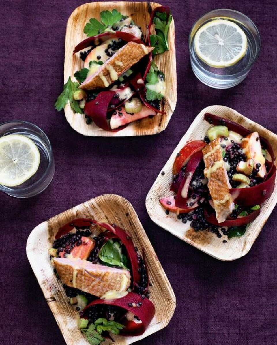 Linsesalat med and, rødbede og citronmayo