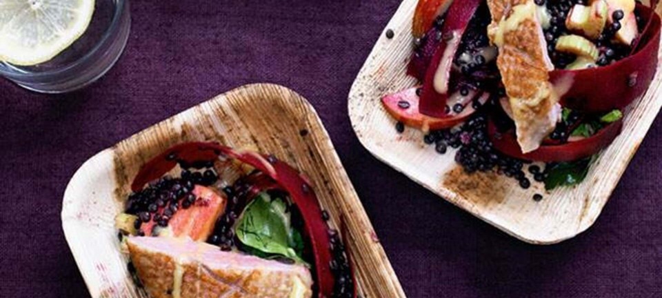 Linsesalat med and, rødbede og citronmayo