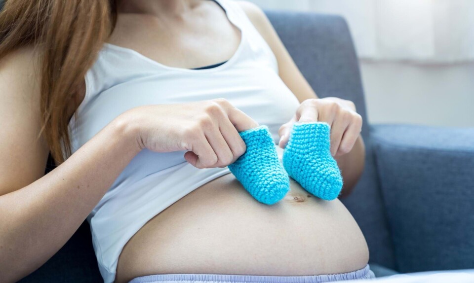 Gravid uge 14 fostret graviditetsuge