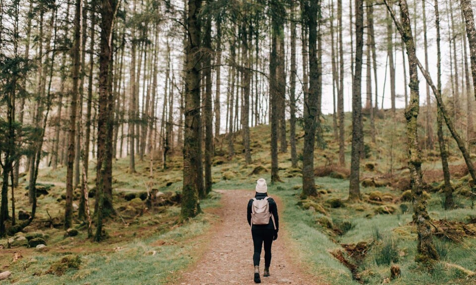 vandrekspert giver tips til fire vandreruter