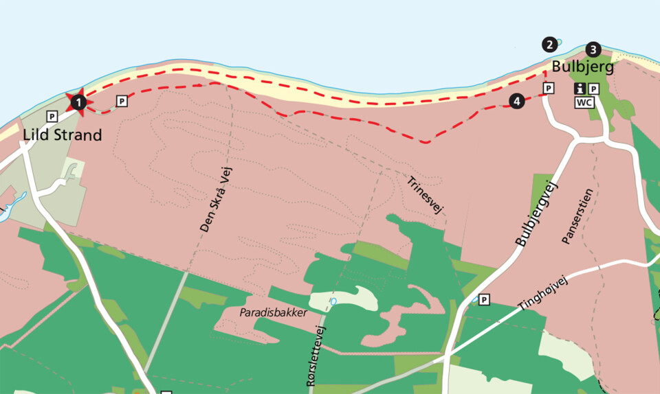 Bulbjerg Knude 102 x 102 mm.jpg