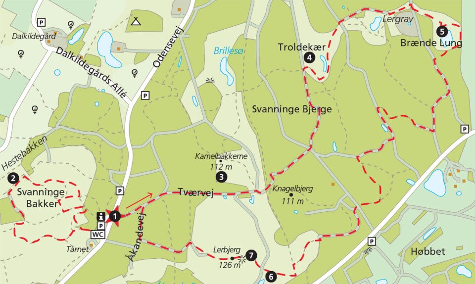 Svanninge Bakker og Bjerge.jpg