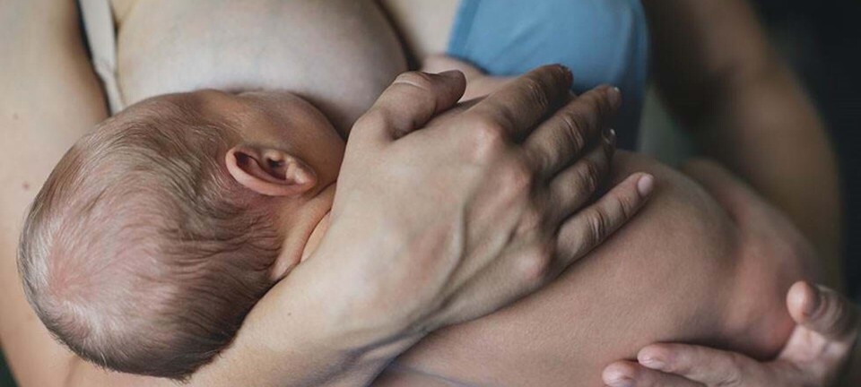 Må man drikke kaffe, når man ammer?