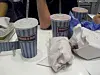 Burger og bedrag