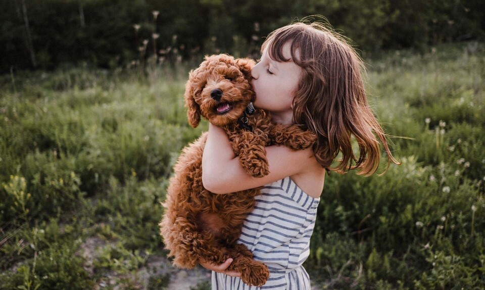 Barn klar til hund