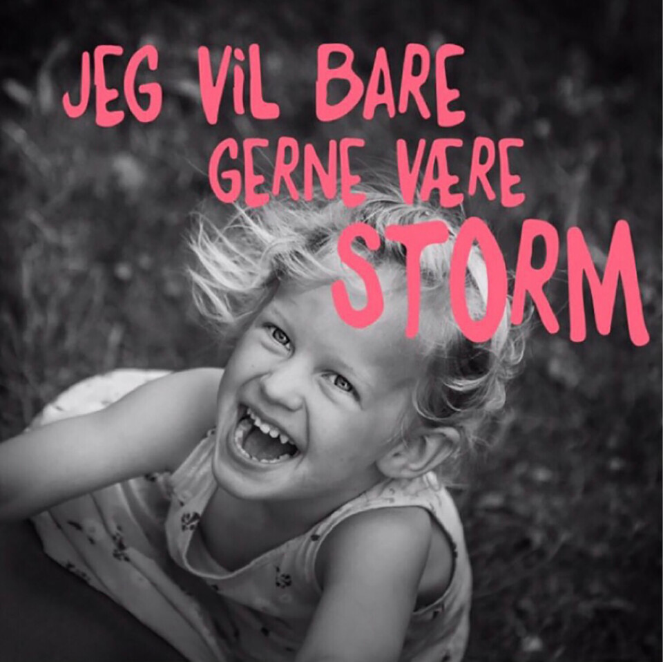 storm_logo - rigtig.png