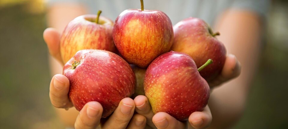 5 sunde grunde til at spise æbler