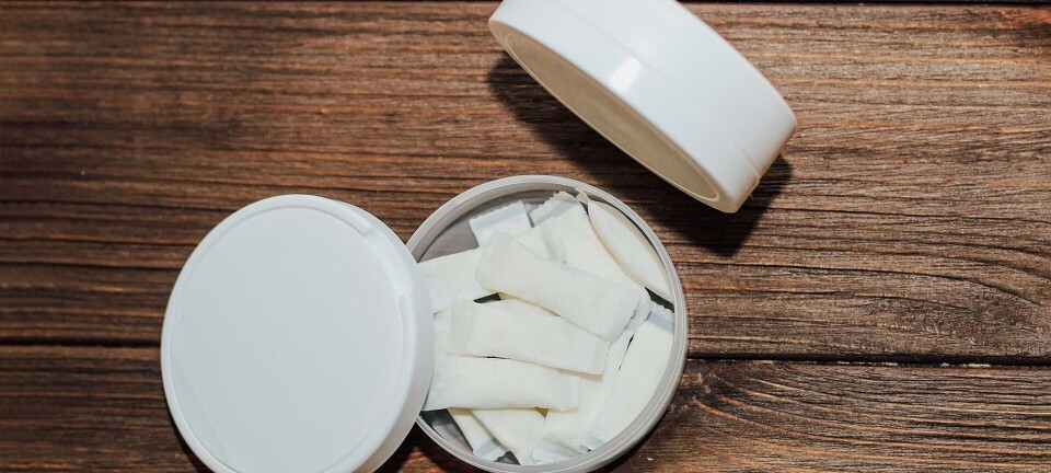 Hvorfor er snus skadeligt? Bliv klogere på, hvordan det påvirker din krop