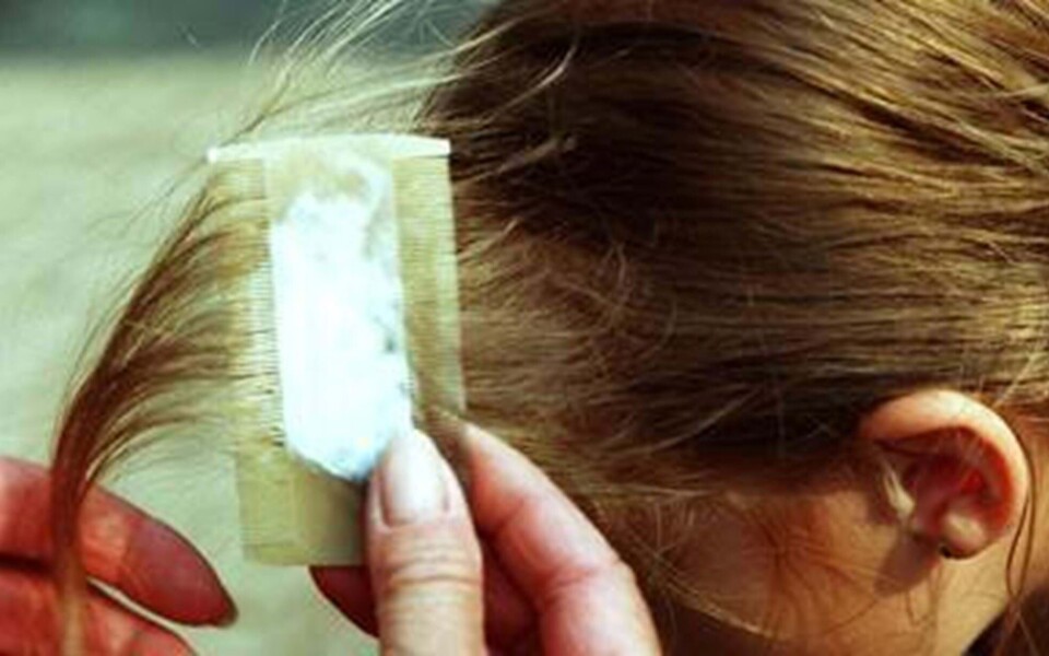 Hvad p… skal vi gøre ved de lus?