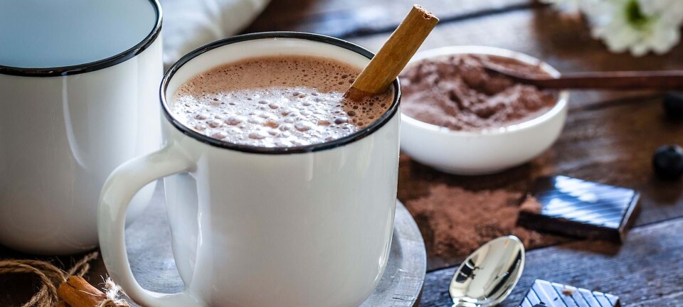 Skøn opskrift: Sådan laver du varm kakao… med rødvin