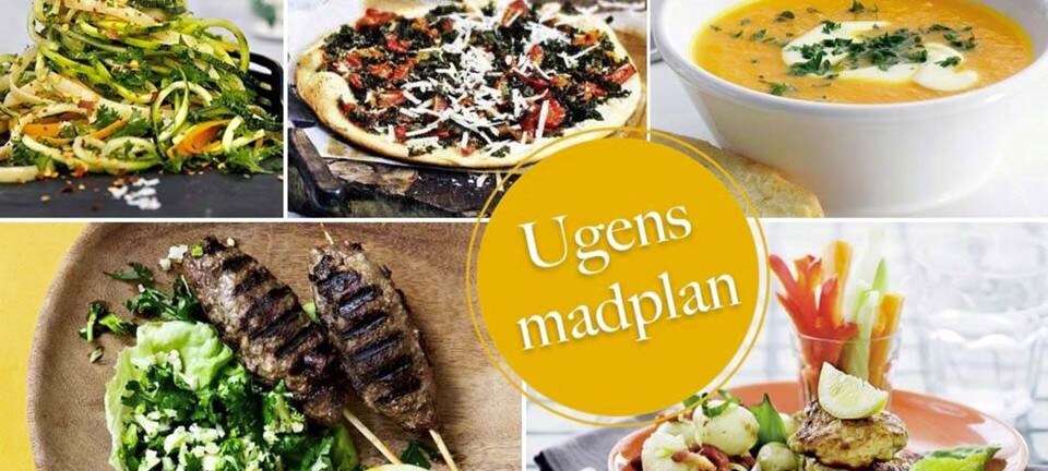 Hjemmelavet kebab, gulerodssuppe med ingefær & nem pasta med chili: Her er ugens madplan til dig