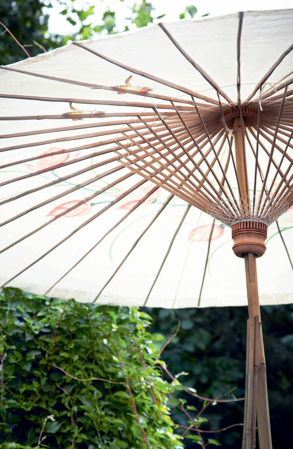 Parasol.jpg