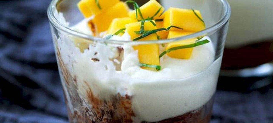 Chokolademousse med mangosalat