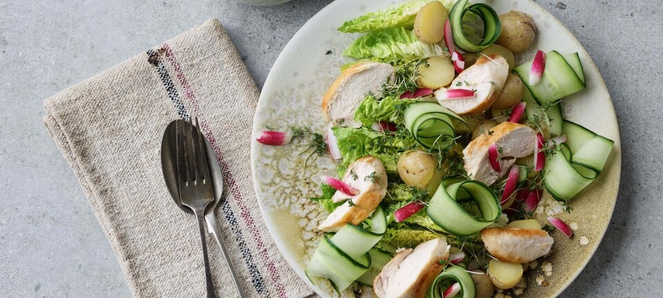 Kyllingesalat med kartofler og agurk