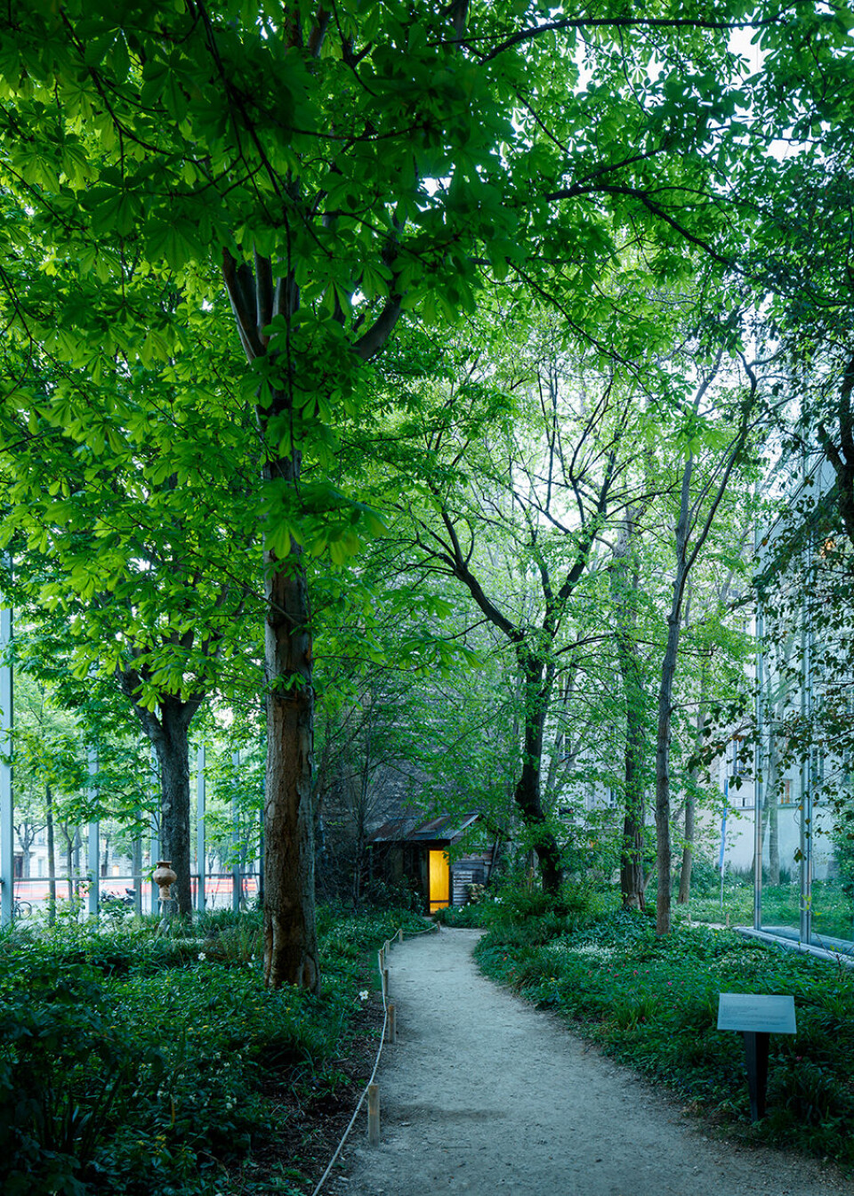 Fondation-Cartier