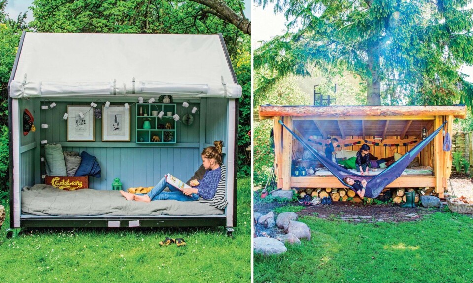 Shelter i haven