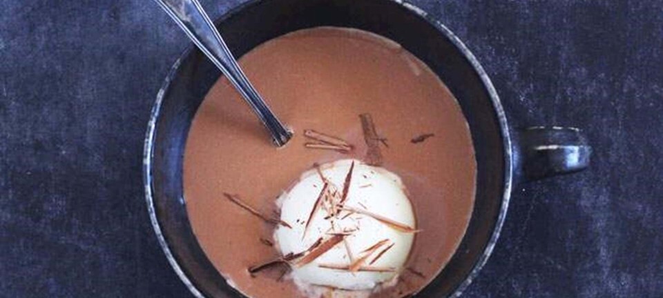 Iskold chokolademælk