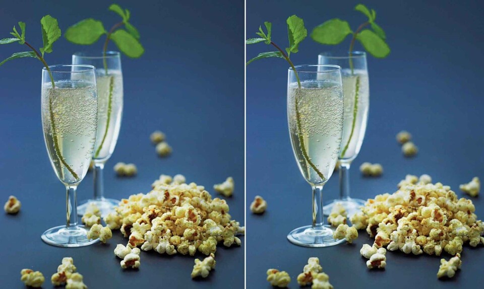 Hyldeblomst bellini