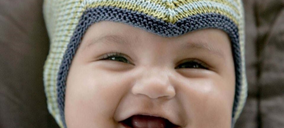 Stribet djĂŠvlehue