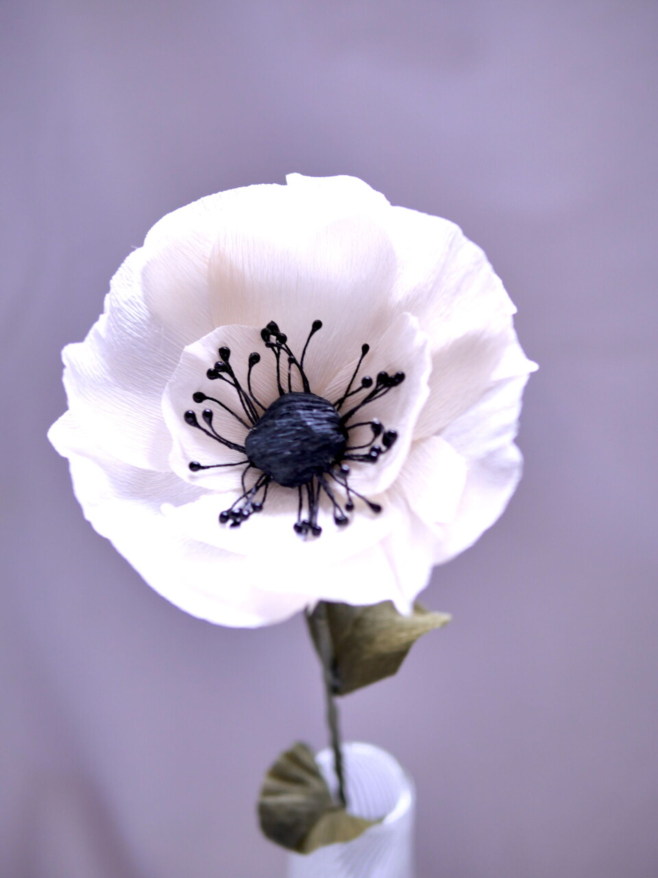 Den fineste anemone.
