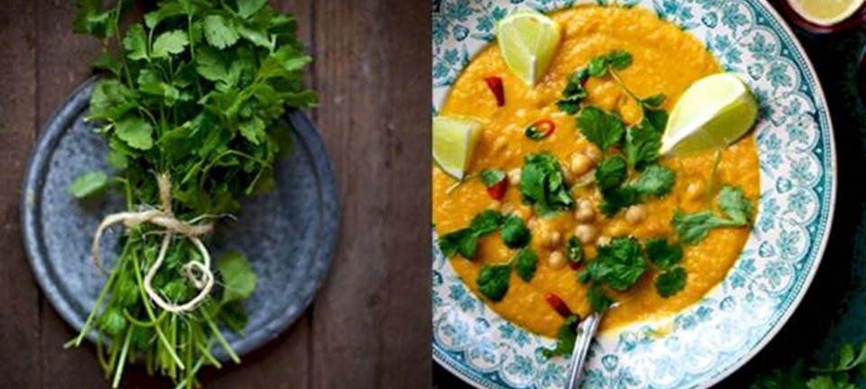 Dittes Madblog: Mad mod forkølelse