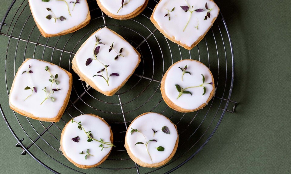 De lækreste citronsnitter med timian