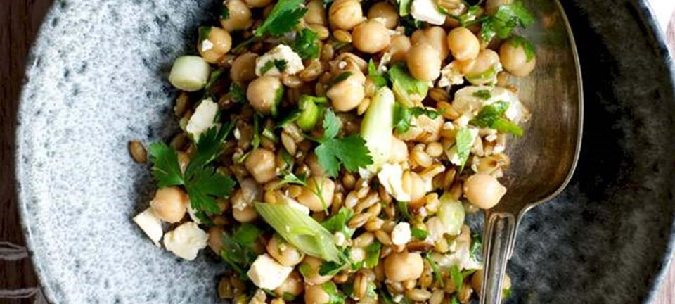 Salat med byg og chilidressing