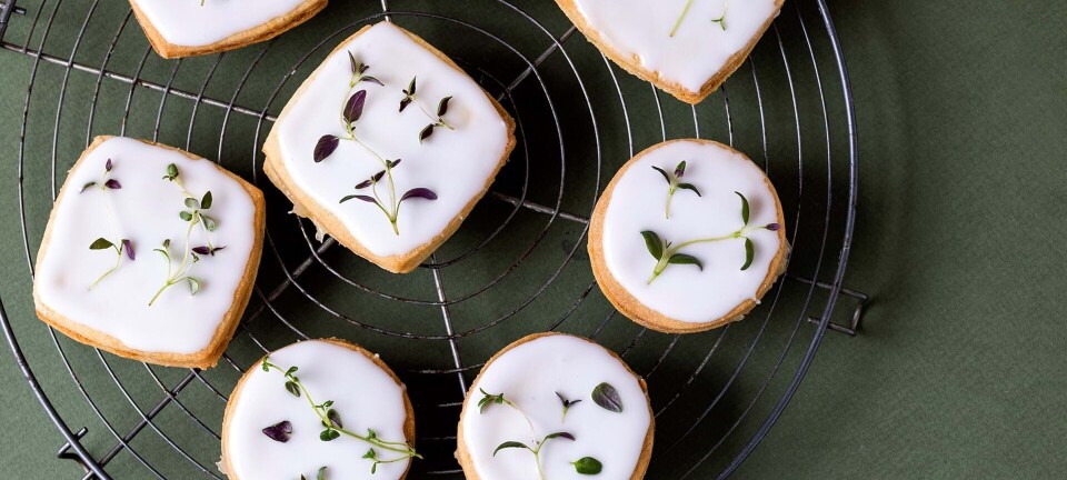 De lækreste citronsnitter med timian