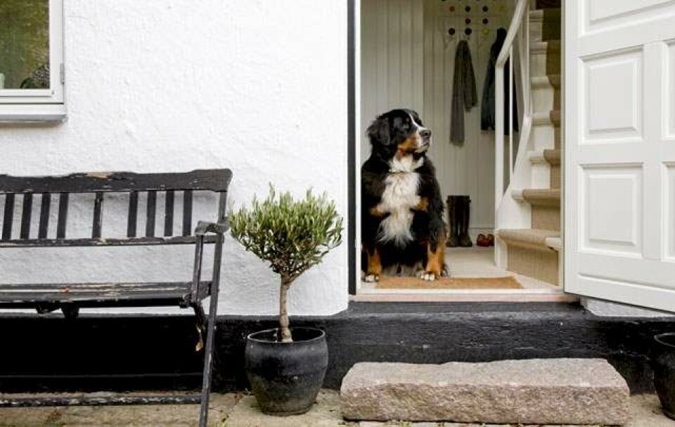 Bolig: Klassisk og moderne stil i Taarbæk