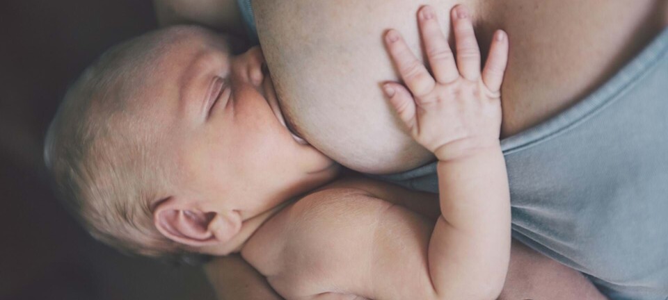 25 råd til en god ammestart