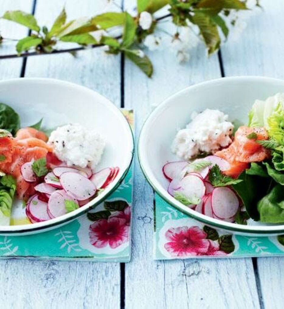 7 lækre sommersalater