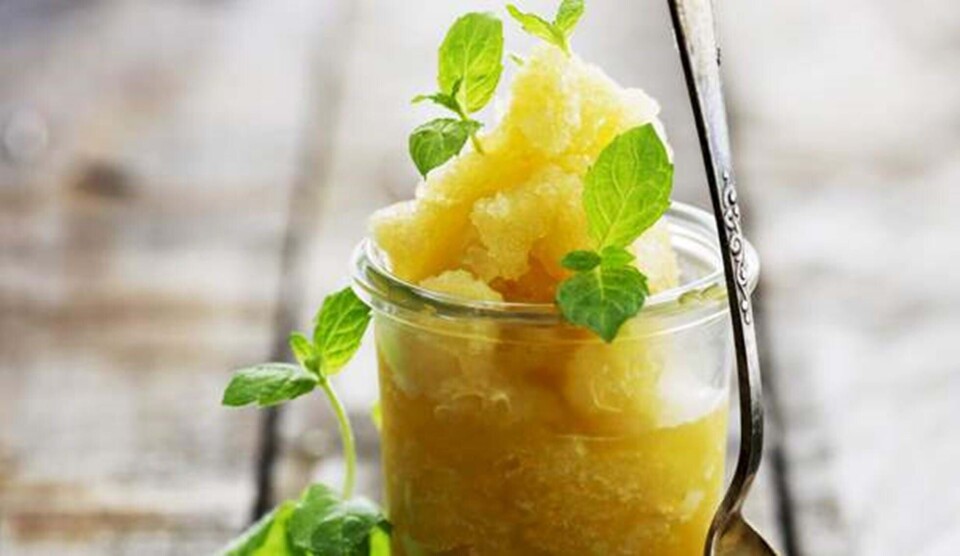 Opskrift på melon-granita