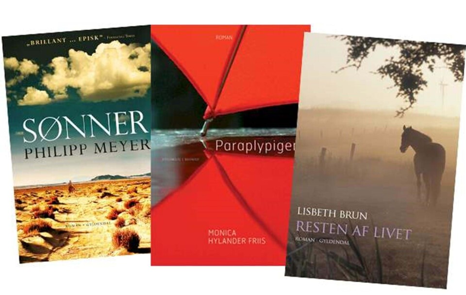 Ugens anmelder: En rå, usentimental og voldsomt fængende roman