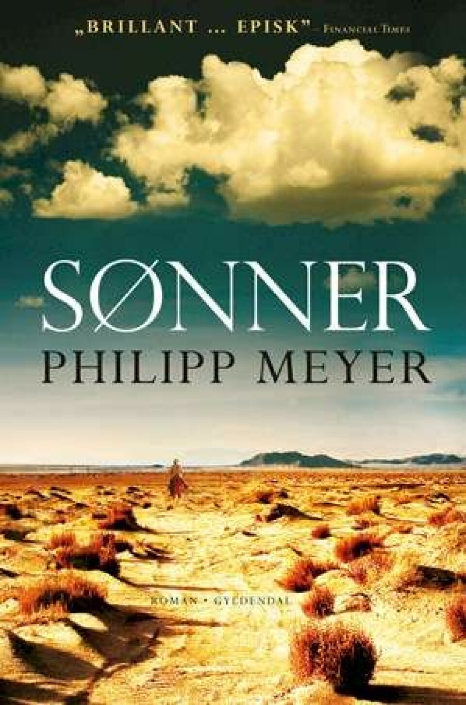 Ugens bøger: Fremragende debutroman om at miste