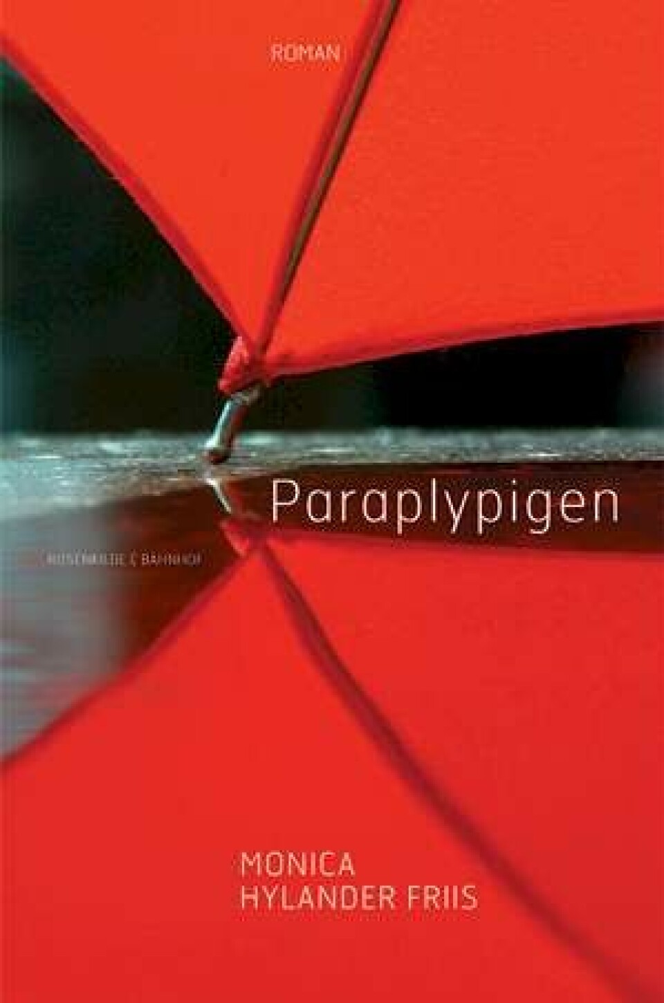 Ugens bøger: Fremragende debutroman om at miste