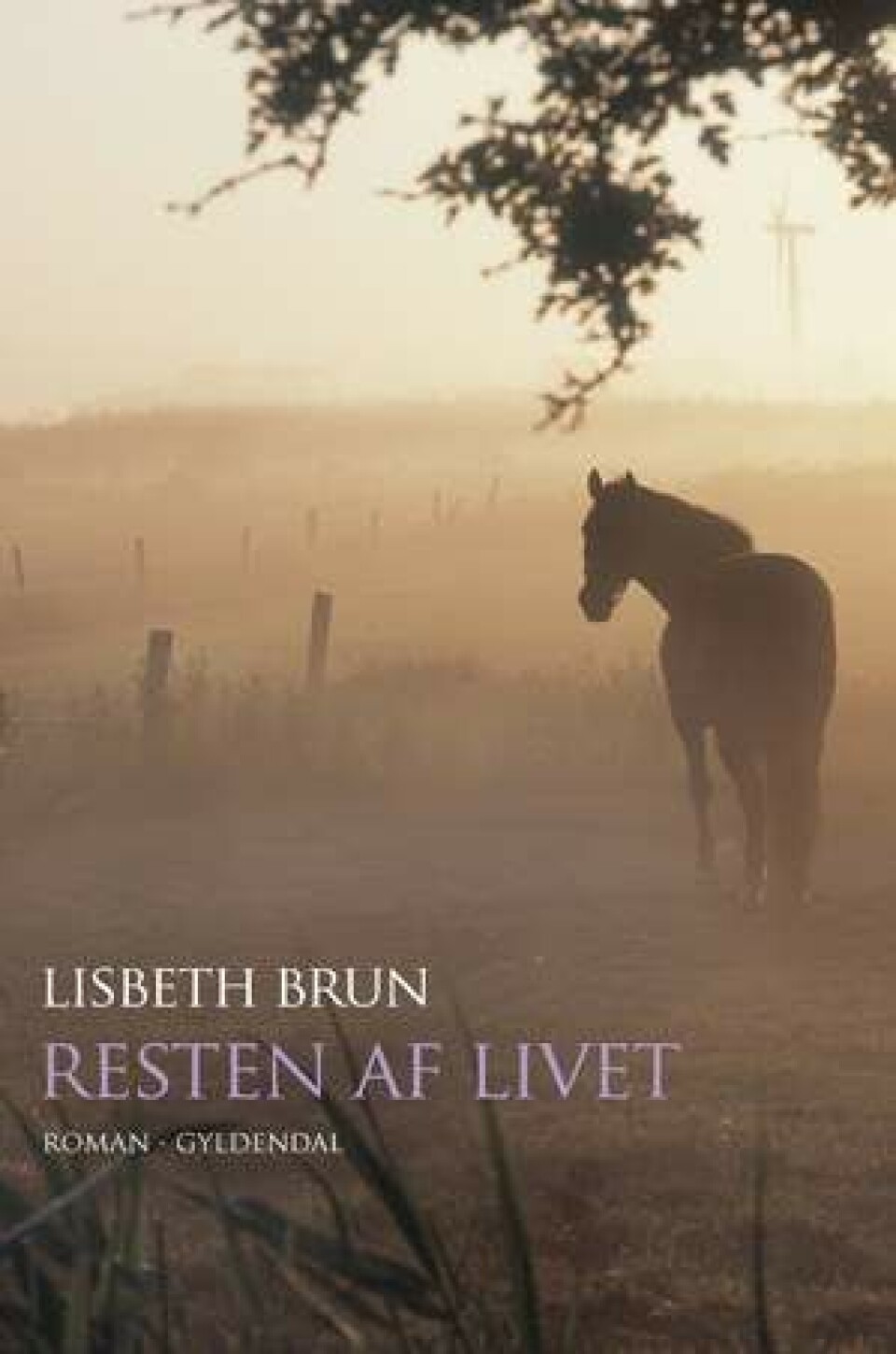 Ugens bøger: Fremragende debutroman om at miste