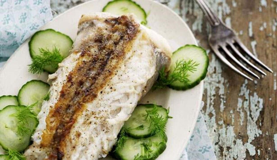 Opskrift på stegt havtaskehale med agurkesalat
