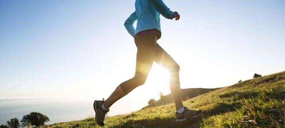 Gå- og løbeprogram til dig, der ikke har trænet før