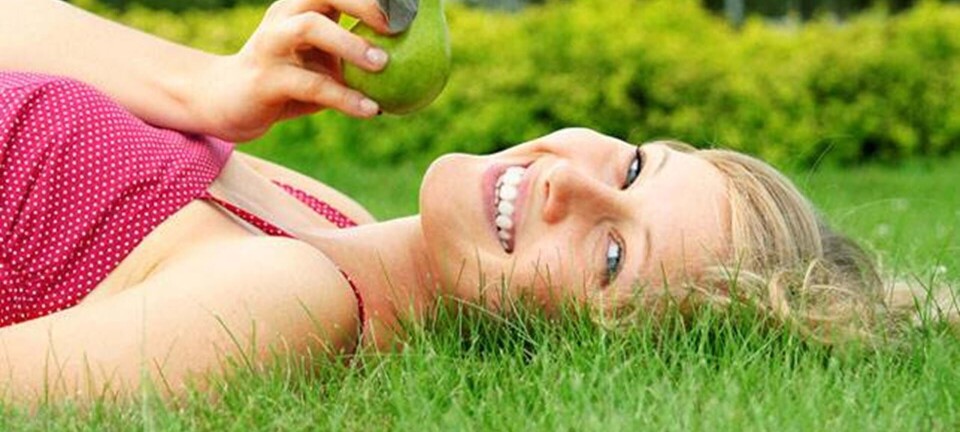 Kostguide: Sådan spiser du sundt fra morgen til aften