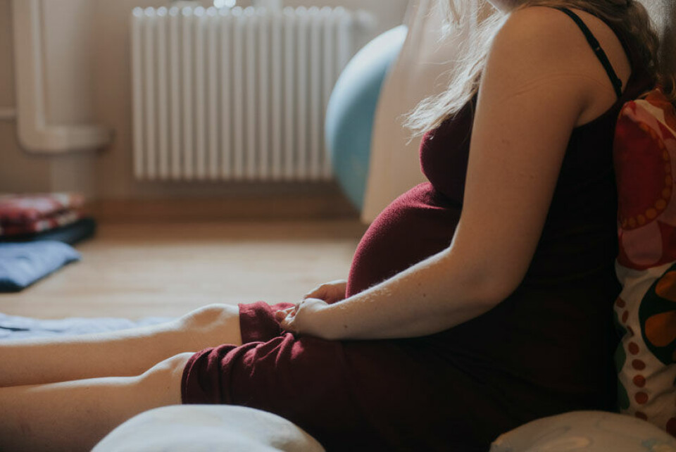 Gravid3.jpg