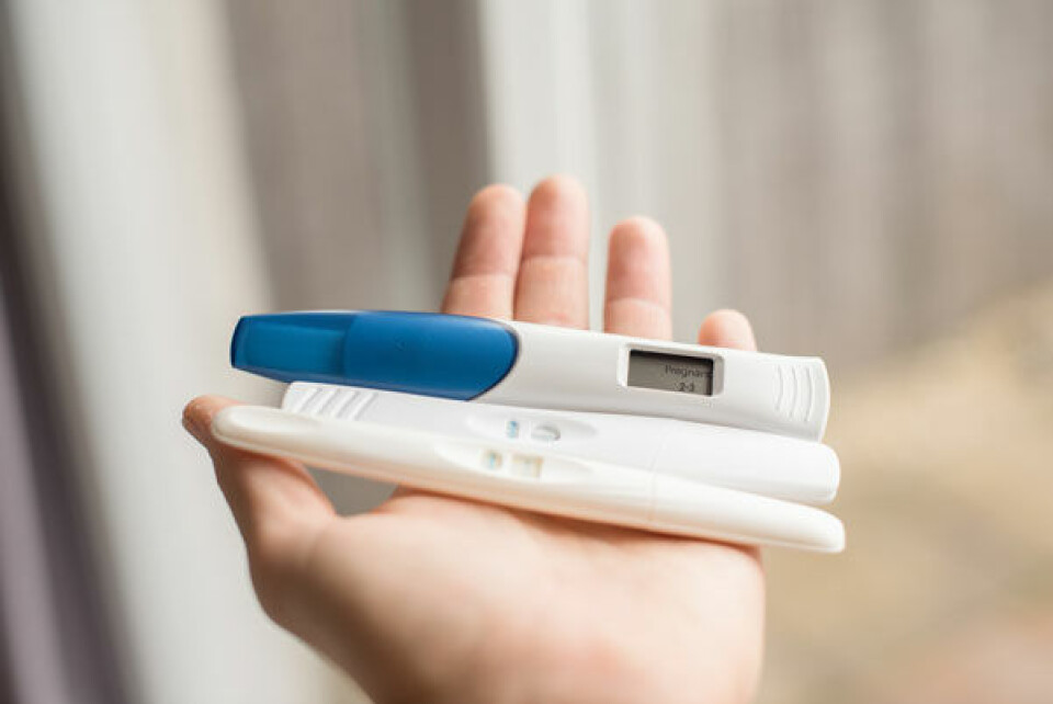 Gravid8.jpg