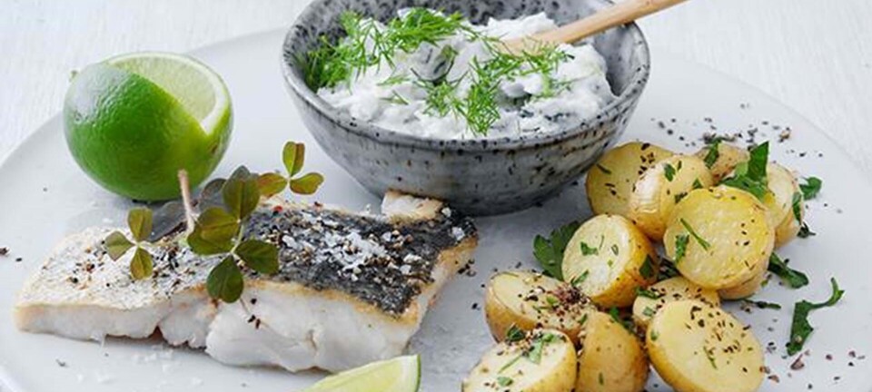 Stegt fisk & tzatziki