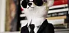 Karls teddybear