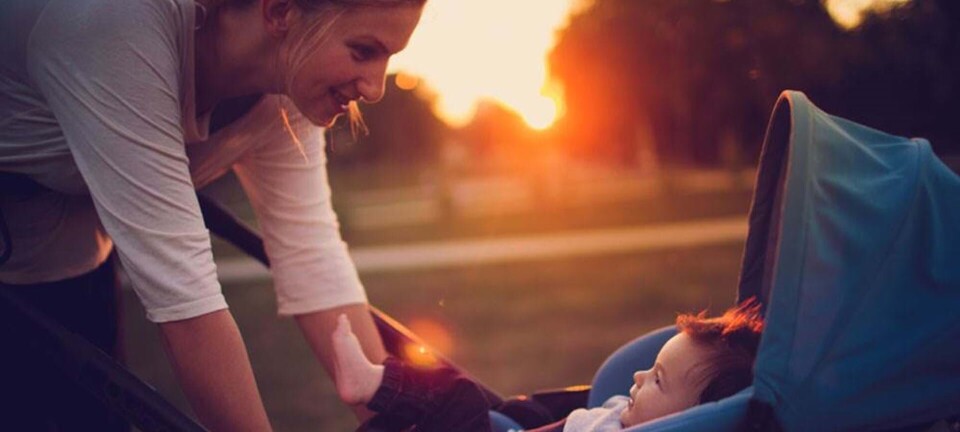 Ammehjerne gør dig til en klog mor